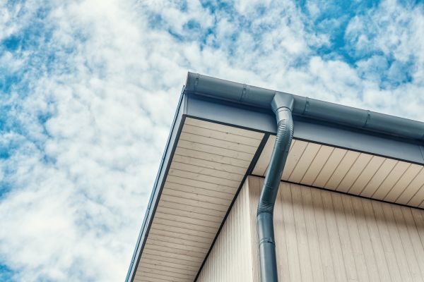Gutter Fascia Repair in Leesburg
