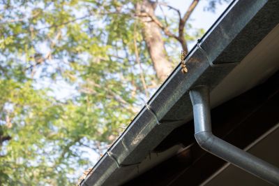 Gutter Maintenance